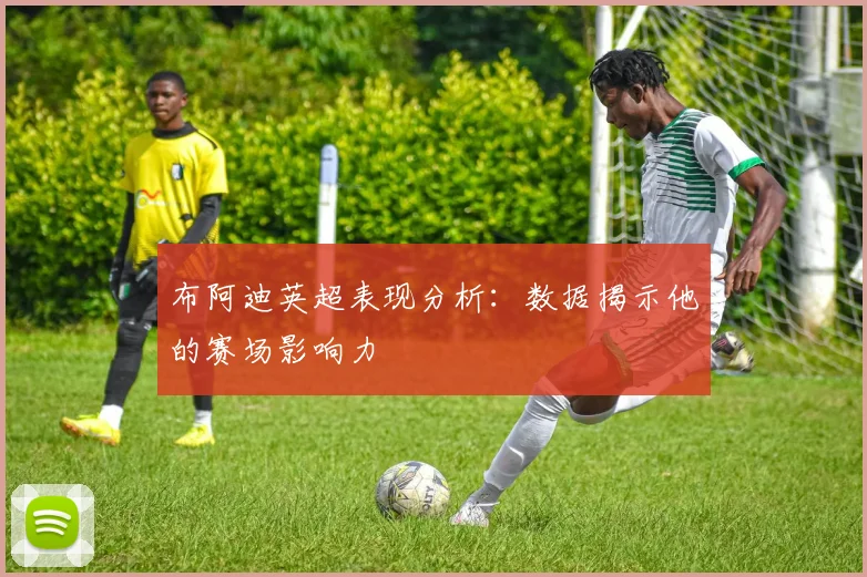 布阿迪英超表现分析:数据揭示他的赛场影响力