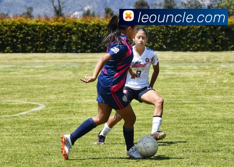 数据分析功能